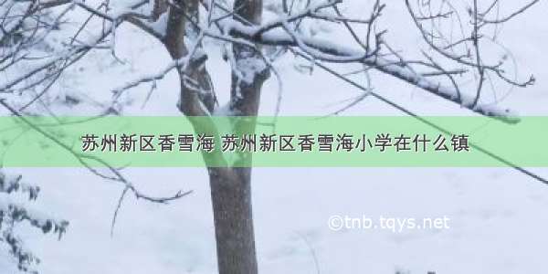 苏州新区香雪海 苏州新区香雪海小学在什么镇