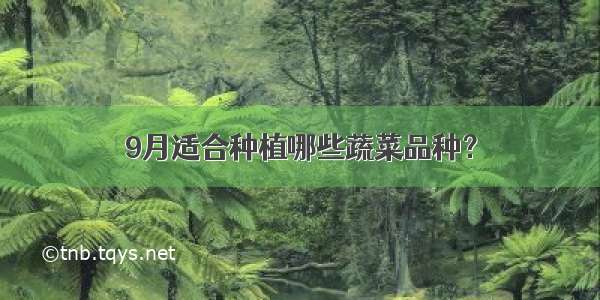 9月适合种植哪些蔬菜品种？