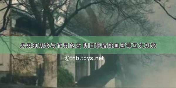 天麻的功效与作用吃法 明目镇痛降血压等五大功效