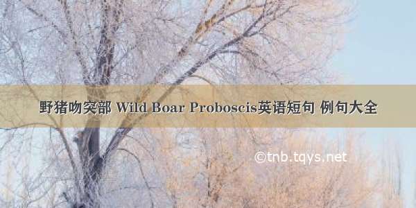 野猪吻突部 Wild Boar Proboscis英语短句 例句大全