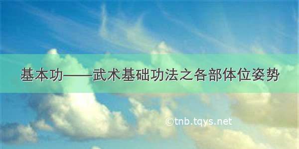 基本功——武术基础功法之各部体位姿势