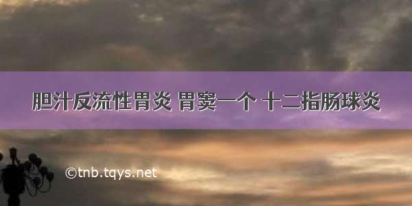 胆汁反流性胃炎 胃窦一个 十二指肠球炎