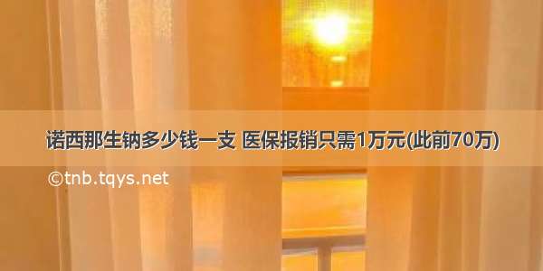 诺西那生钠多少钱一支 医保报销只需1万元(此前70万)