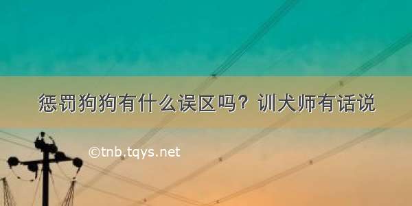 惩罚狗狗有什么误区吗？训犬师有话说