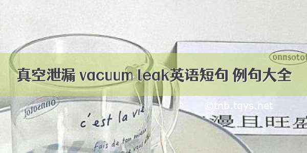 真空泄漏 vacuum leak英语短句 例句大全