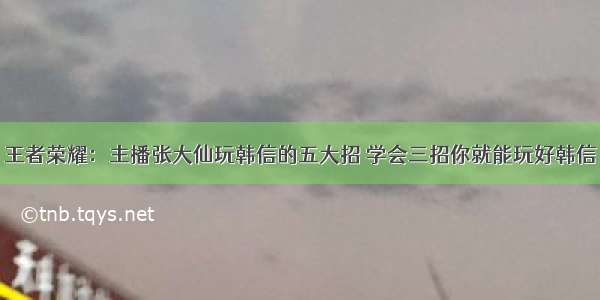 王者荣耀：主播张大仙玩韩信的五大招 学会三招你就能玩好韩信