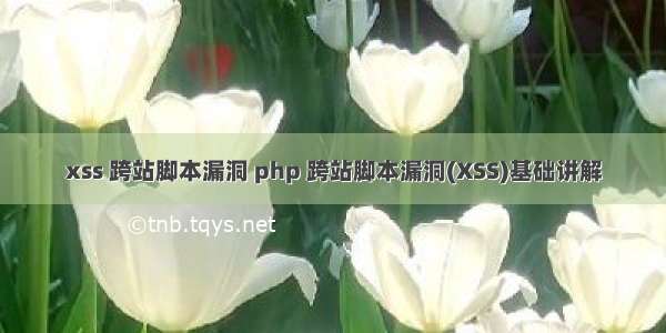 xss 跨站脚本漏洞 php 跨站脚本漏洞(XSS)基础讲解