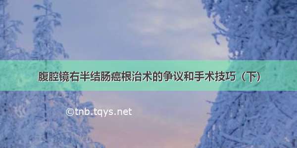 腹腔镜右半结肠癌根治术的争议和手术技巧（下）