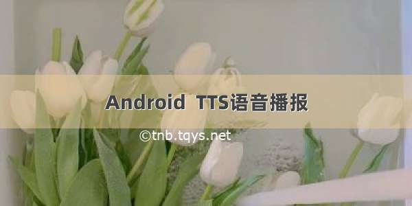 Android  TTS语音播报