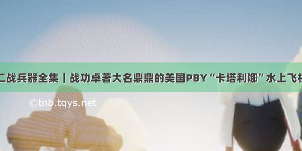 二战兵器全集｜战功卓著大名鼎鼎的美国PBY“卡塔利娜”水上飞机