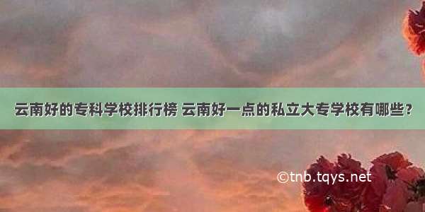 云南好的专科学校排行榜 云南好一点的私立大专学校有哪些？