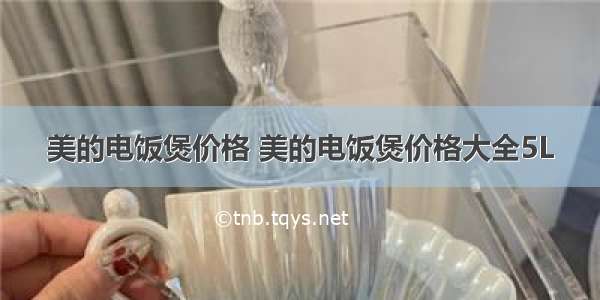 美的电饭煲价格 美的电饭煲价格大全5L