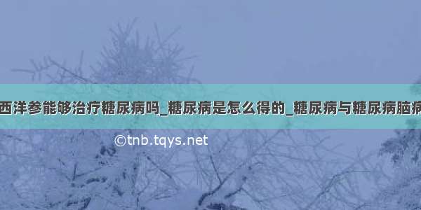 西洋参能够治疗糖尿病吗_糖尿病是怎么得的_糖尿病与糖尿病脑病