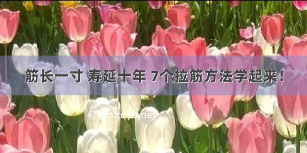 筋长一寸 寿延十年 7个拉筋方法学起来！