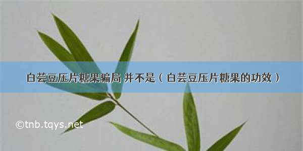 白芸豆压片糖果骗局 并不是（白芸豆压片糖果的功效）