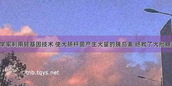 单选题科学家利用转基因技术 使大肠杆菌产生大量的胰岛素 拯救了大批糖尿病患者。