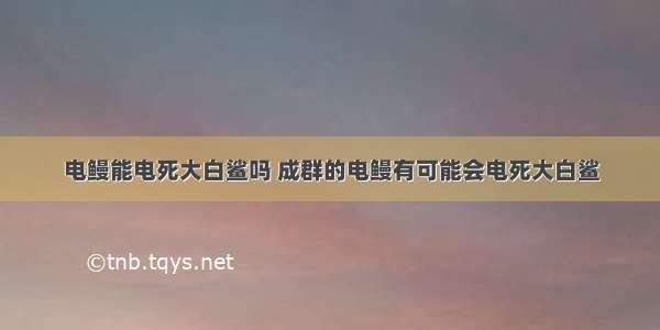 电鳗能电死大白鲨吗 成群的电鳗有可能会电死大白鲨