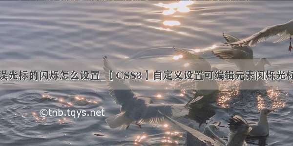 java错误光标的闪烁怎么设置_【CSS3】自定义设置可编辑元素闪烁光标的颜色