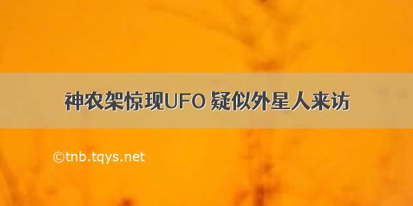 神农架惊现UFO 疑似外星人来访