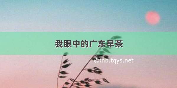 我眼中的广东早茶