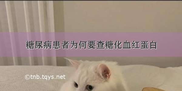 糖尿病患者为何要查糖化血红蛋白