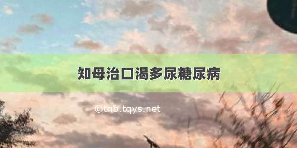 知母治口渴多尿糖尿病