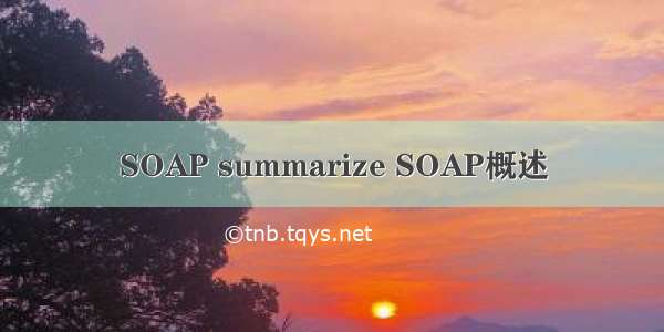 SOAP summarize SOAP概述