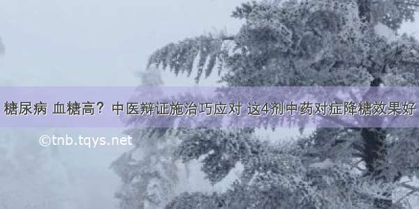 糖尿病 血糖高？中医辩证施治巧应对 这4剂中药对症降糖效果好