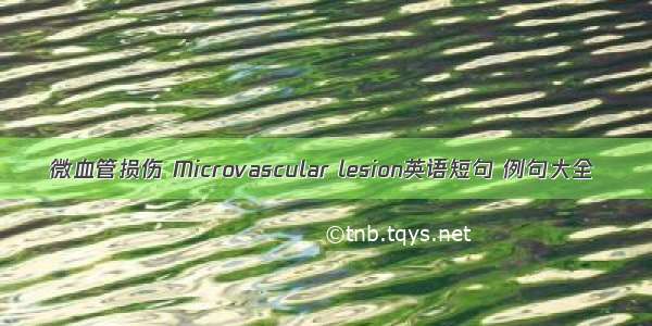 微血管损伤 Microvascular lesion英语短句 例句大全