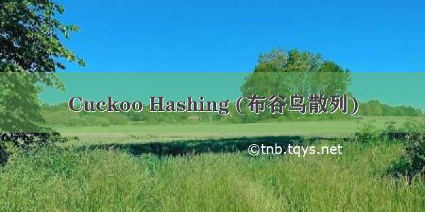 Cuckoo Hashing (布谷鸟散列)