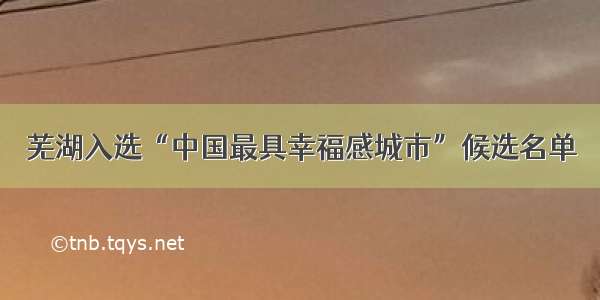 芜湖入选“中国最具幸福感城市”候选名单