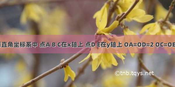 如图 平面直角坐标系中 点A B C在x轴上 点D E在y轴上 OA=OD=2 OC=OE=4 B为线