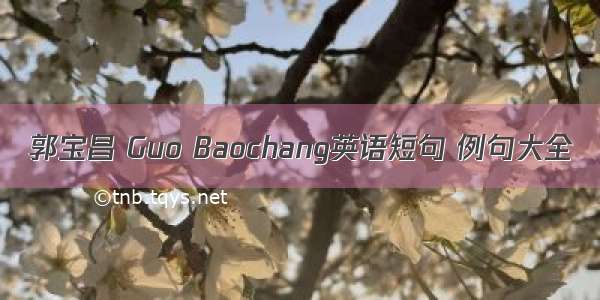 郭宝昌 Guo Baochang英语短句 例句大全