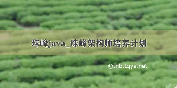 珠峰java_珠峰架构师培养计划