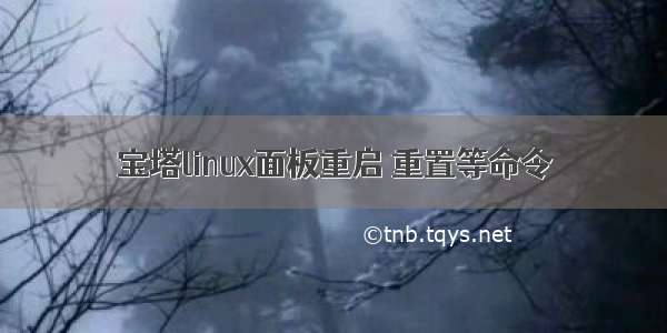 宝塔linux面板重启 重置等命令