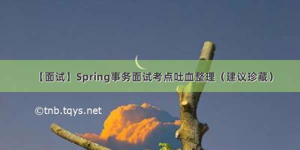 【面试】Spring事务面试考点吐血整理（建议珍藏）