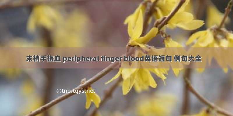 末梢手指血 peripheral finger blood英语短句 例句大全