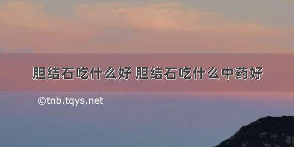 胆结石吃什么好 胆结石吃什么中药好