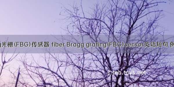 光纤Bragg光栅(FBG)传感器 fiber Bragg grating(FBG)sensor英语短句 例句大全