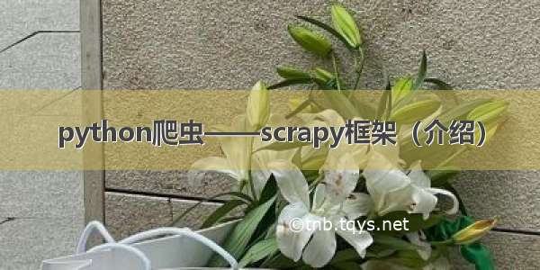 python爬虫——scrapy框架（介绍）