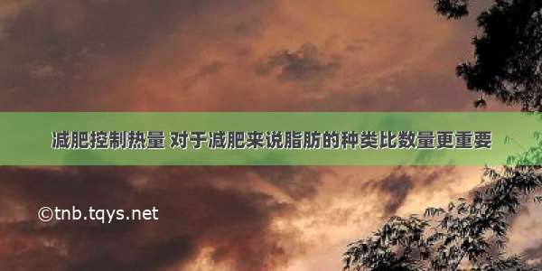 减肥控制热量 对于减肥来说脂肪的种类比数量更重要