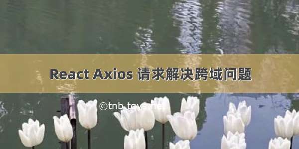 React Axios 请求解决跨域问题