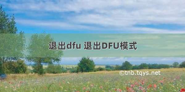 退出dfu 退出DFU模式