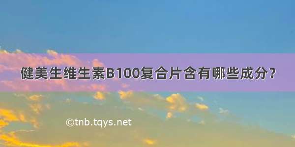 健美生维生素B100复合片含有哪些成分？