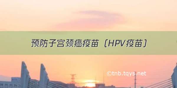 预防子宫颈癌疫苗（HPV疫苗）