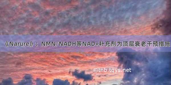 《Narure》：NMN/NADH等NAD+补充剂为顶层衰老干预措施