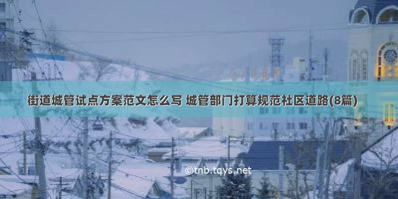 街道城管试点方案范文怎么写 城管部门打算规范社区道路(8篇)