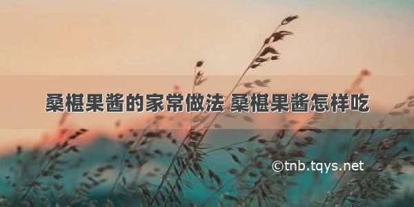 桑椹果酱的家常做法 桑椹果酱怎样吃