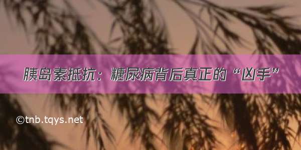 胰岛素抵抗：糖尿病背后真正的“凶手”