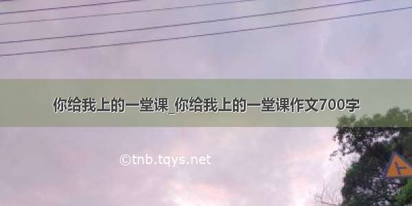 你给我上的一堂课_你给我上的一堂课作文700字